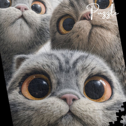 Puzzle - 3 Cats Find Camera Hilariously Funny Selfie